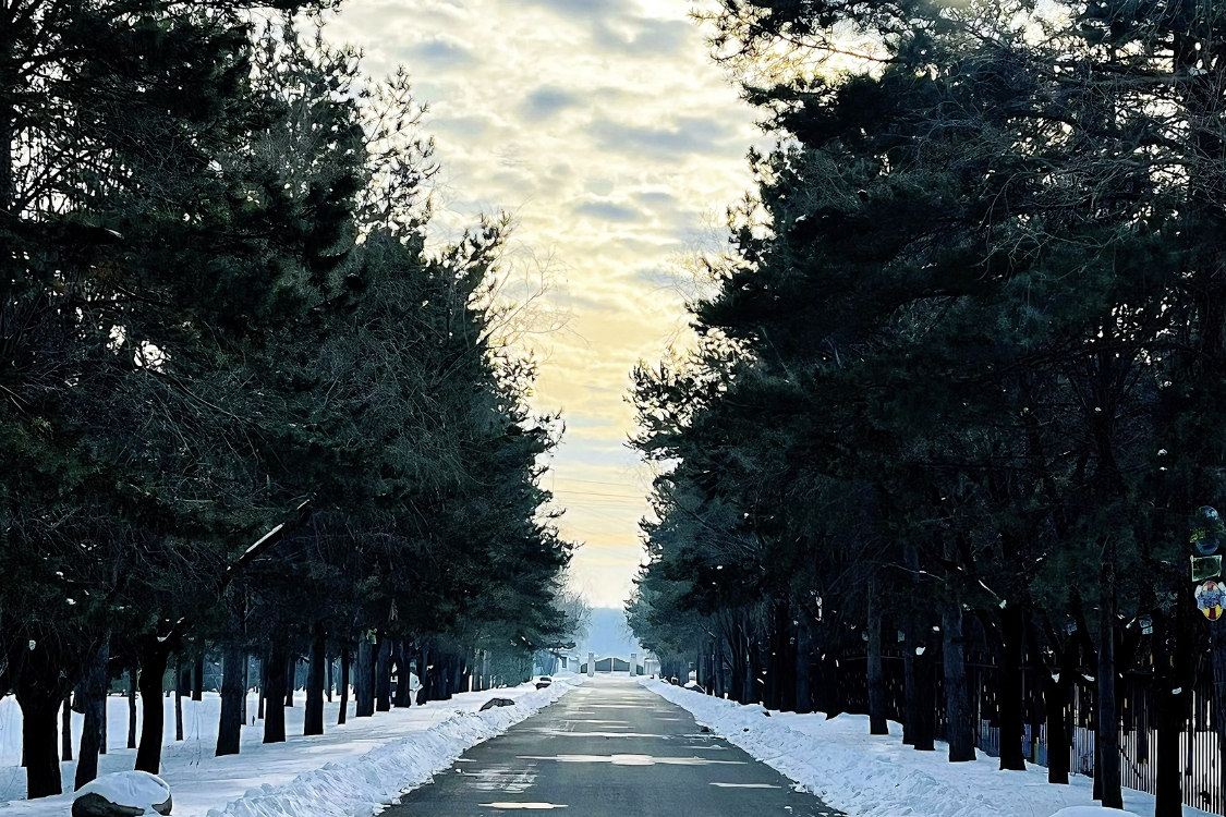 Shuishi Forest Hot Spring Resort